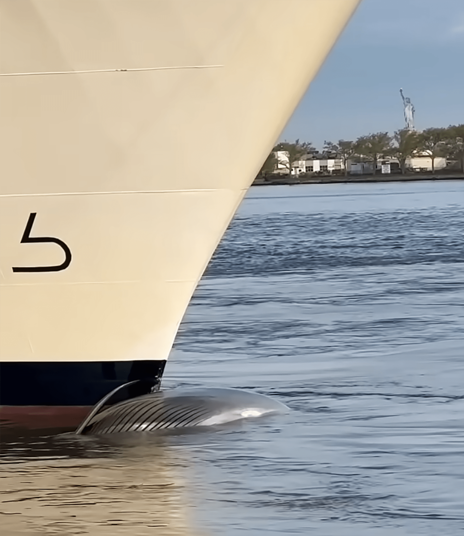 洋楽 Maltese  Who Is Cruising The Cruiser 36ft cruiser yacht – luxuryexperiencemiami