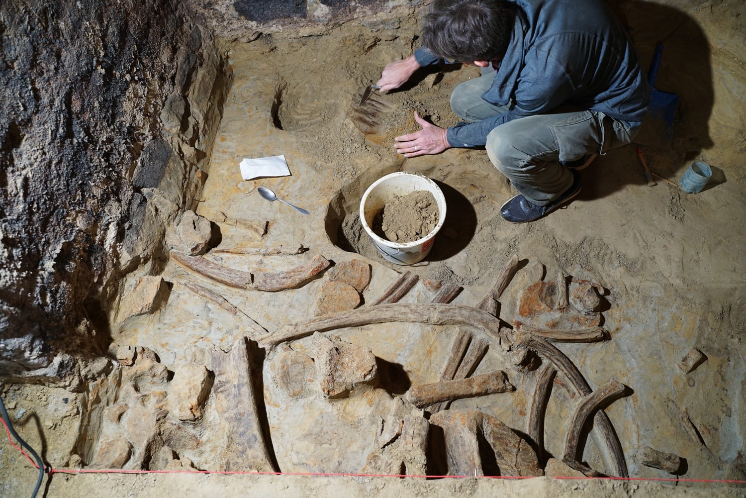 A antique to find: Guy discovers mammoth bones in wine cellar