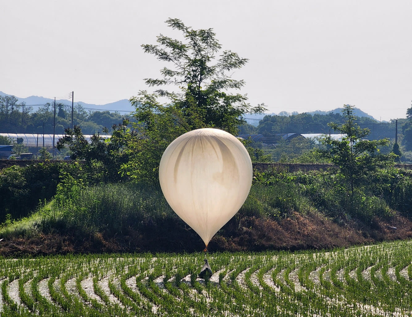 North Korea sends balloons full of trash, waste into South