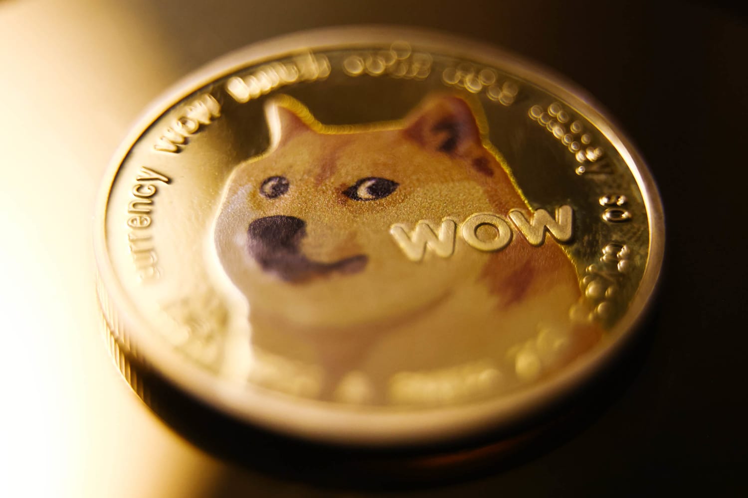 Kabosu, Dog From the Viral 