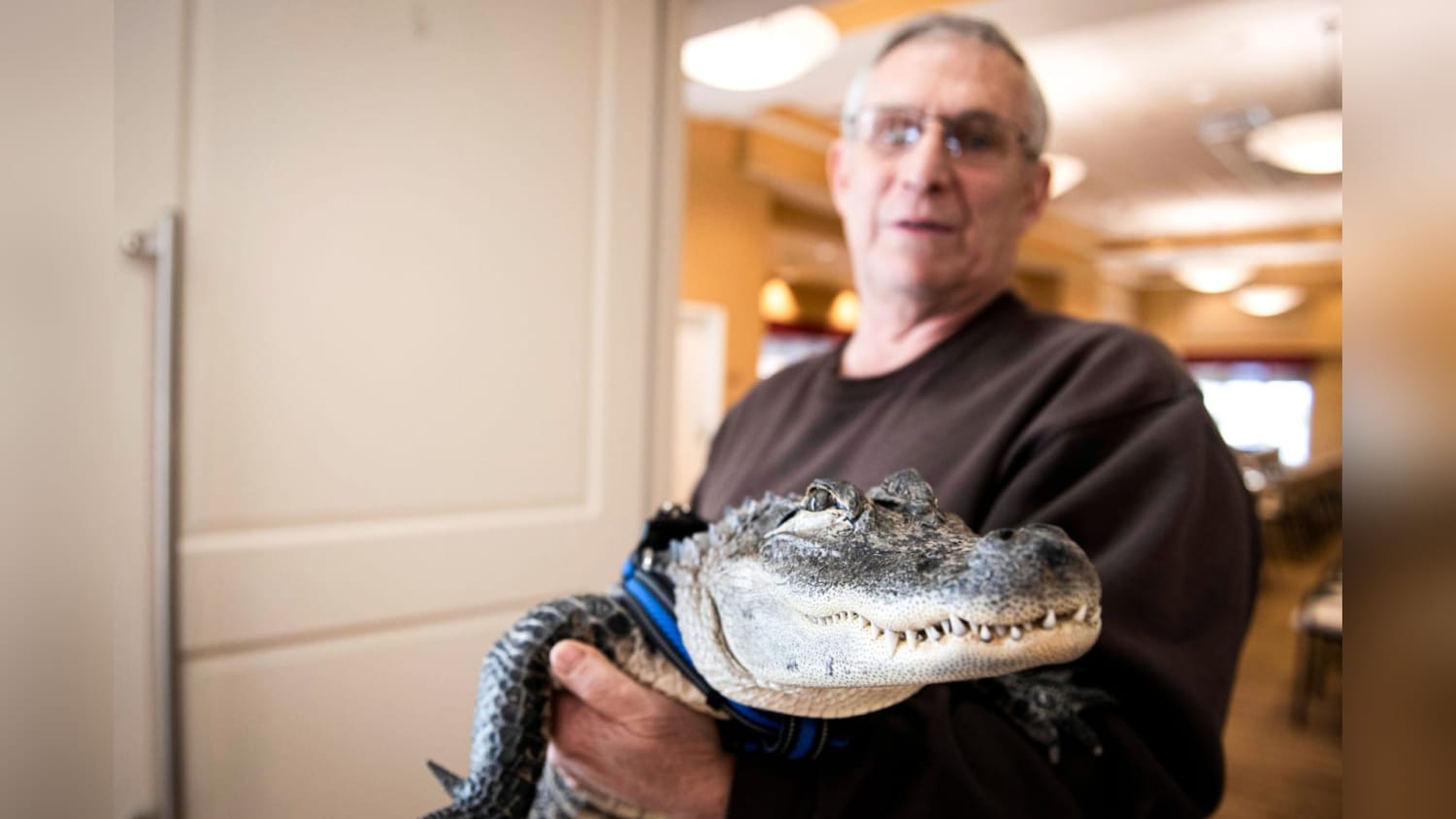 Alligators have been his “medicine” against depression for years.  Now he is asking for help to get it back.