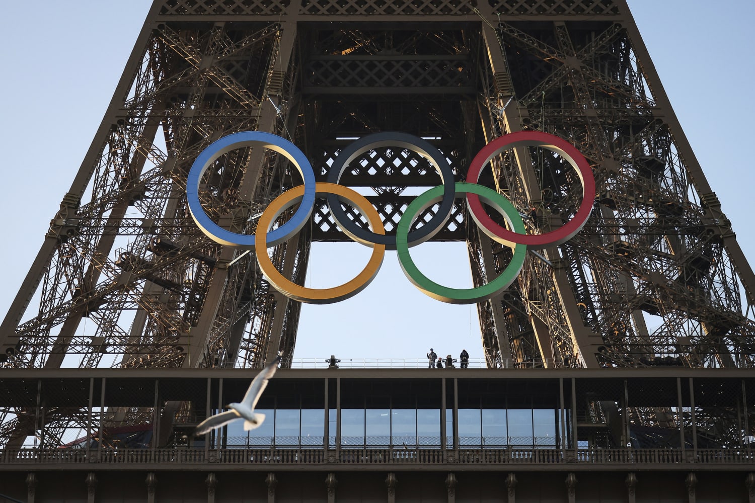 The Paris Olympics rings are mounted on the Eiffel Tower