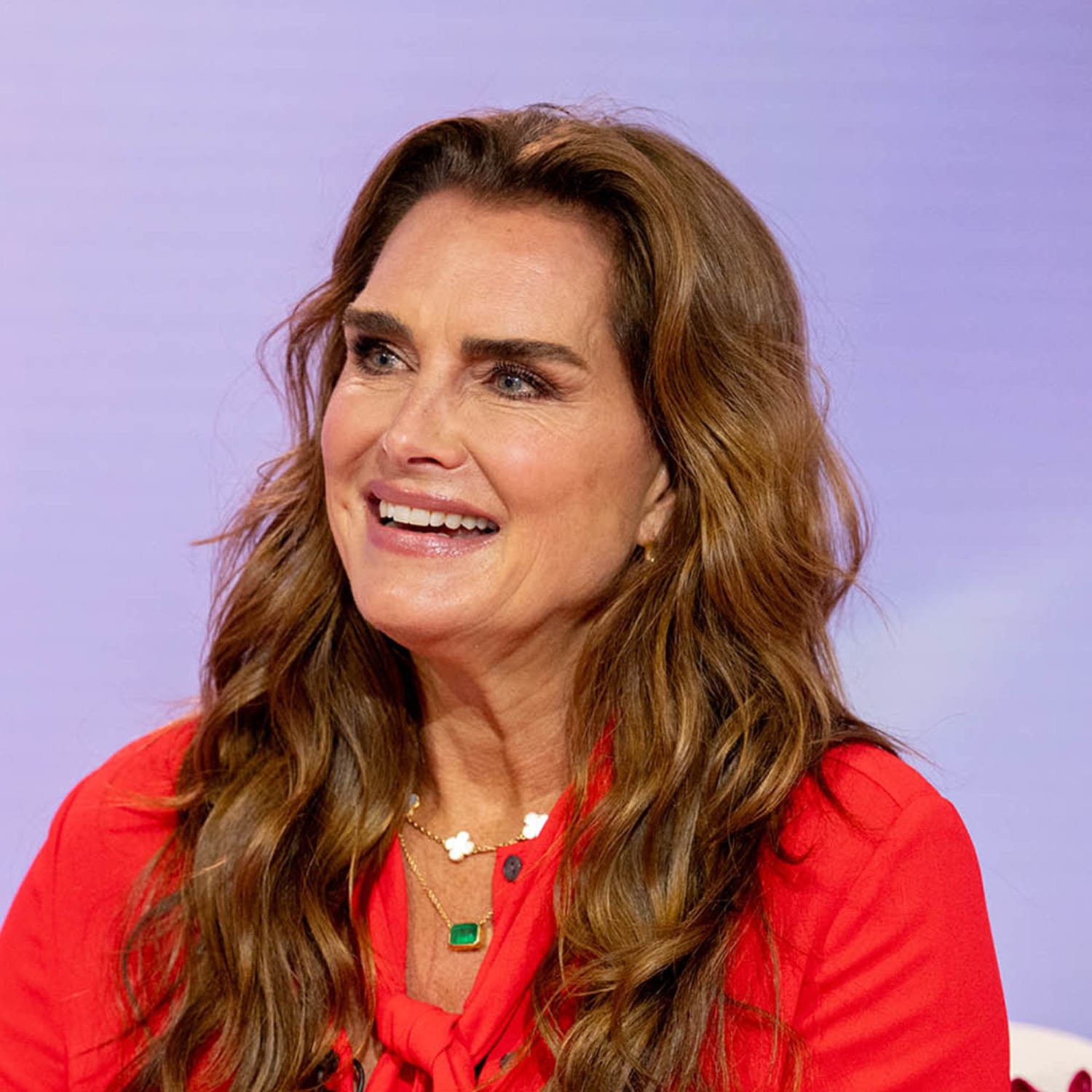 Brooke Shields On Hair Line Commence, Admiring Andie MacDowell's Hair