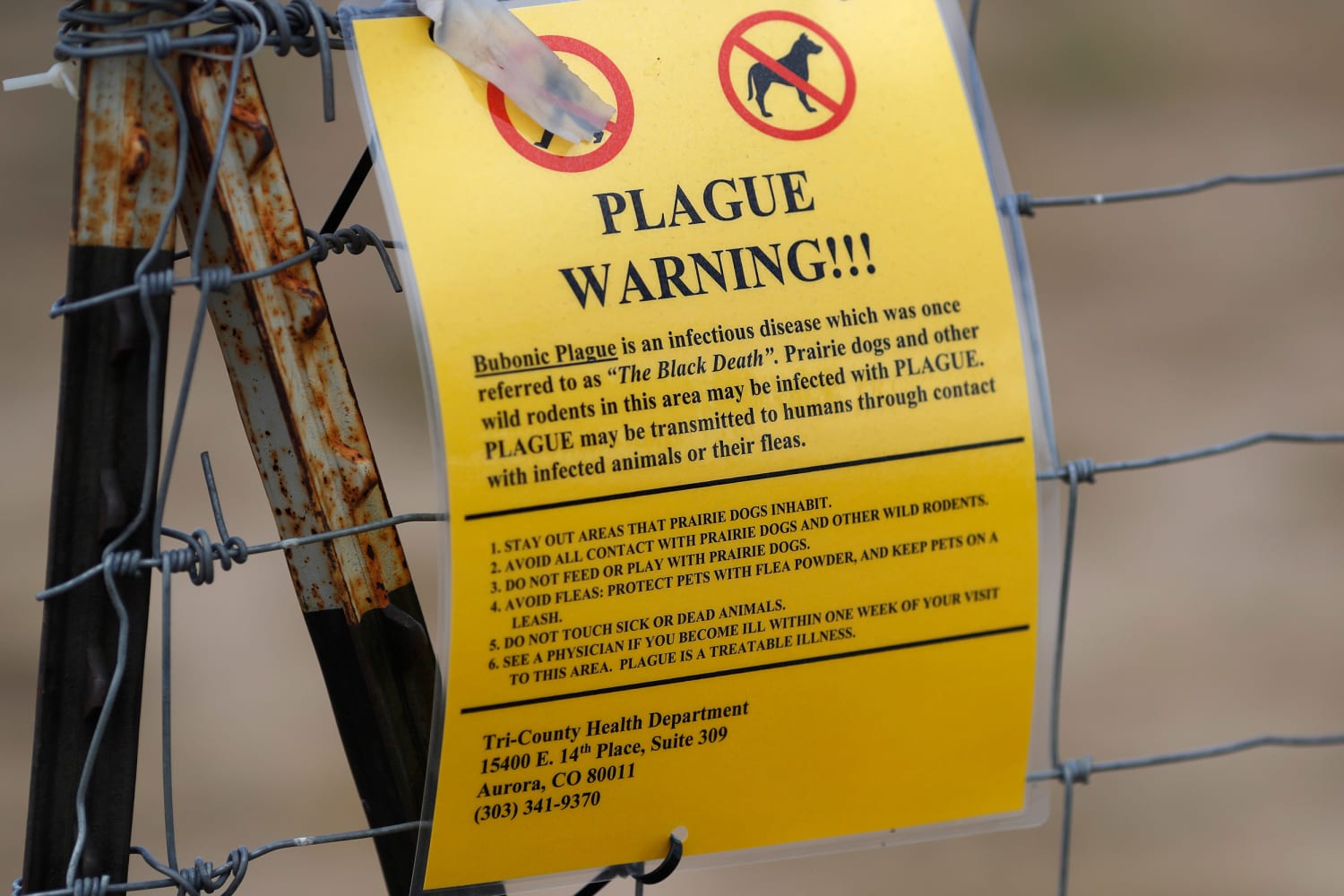 Funcionarios de salud de Colorado están investigando un caso humano de peste bubónica