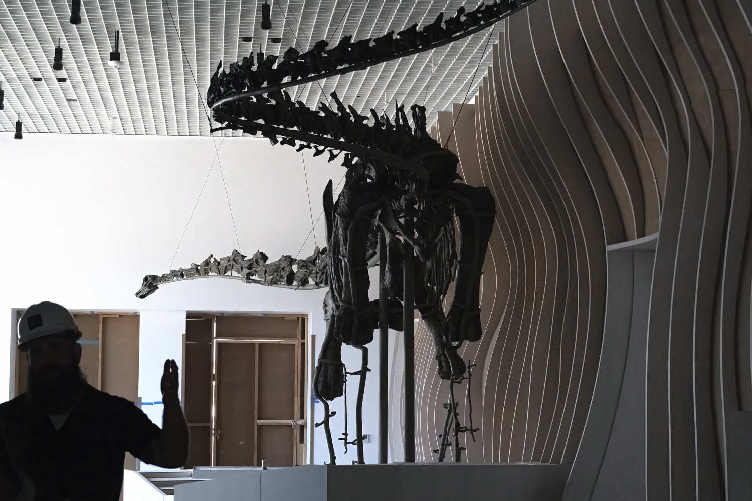 Gnatalie é o único dinossauro de ossos verdes do planeta.  Ele estará expondo em LA