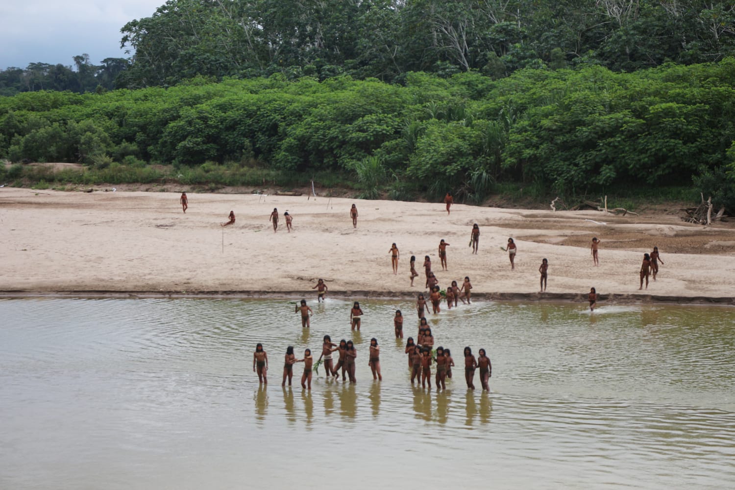 Uncontacted Amazon tribe in unusual sighting near logging area