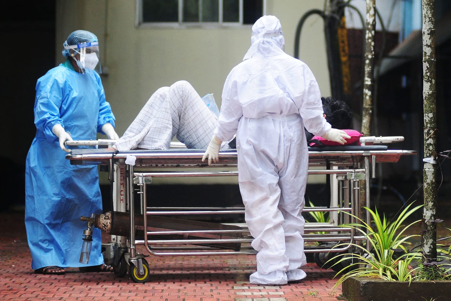 Incurable Nipah virus kills teenager in India