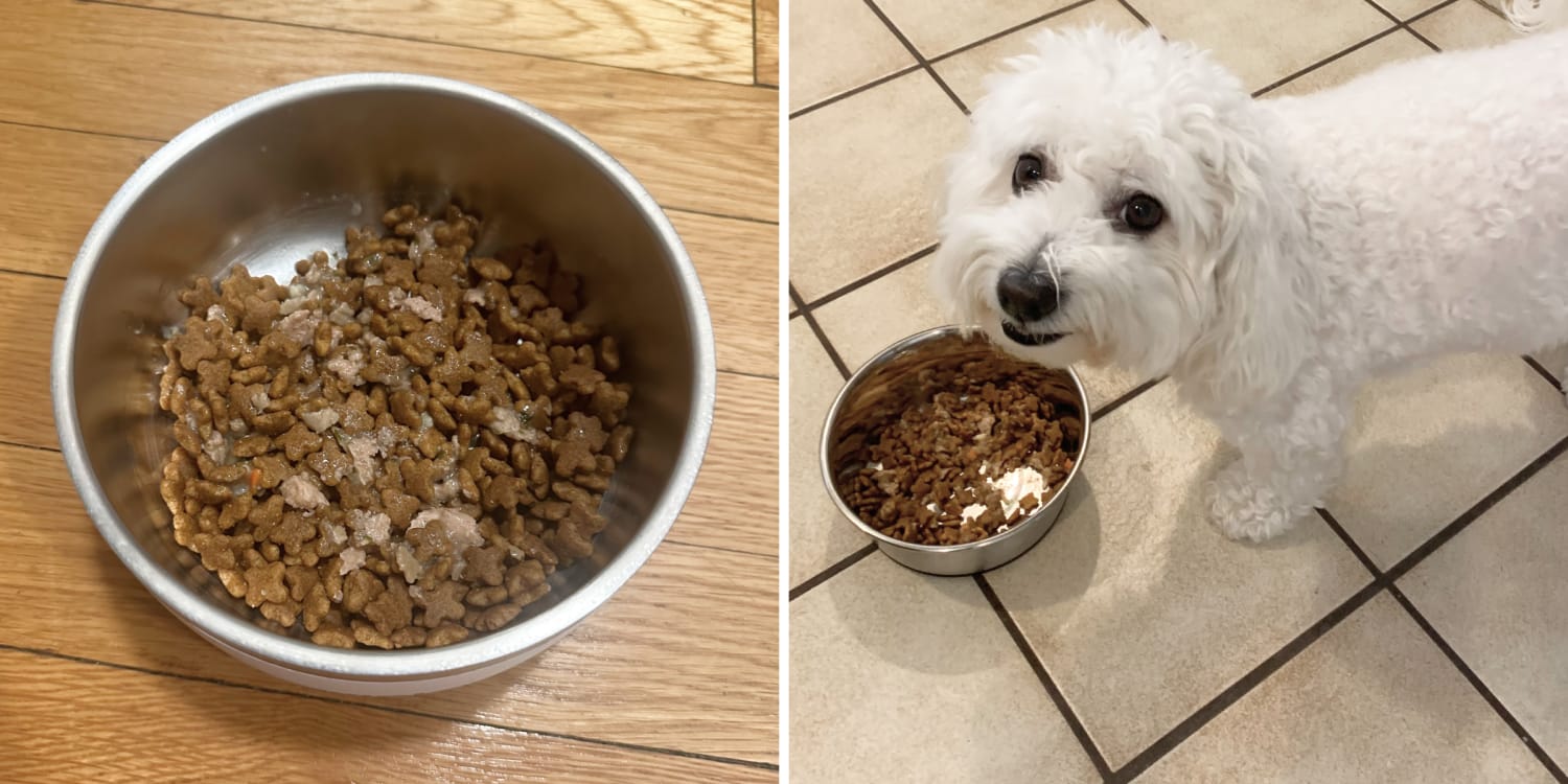 Fda approved puppy food hotsell