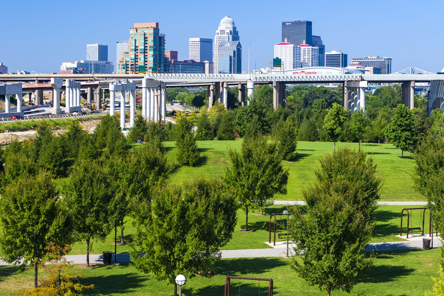 Living in tree-filled areas may reduce heart disease risk, study shows