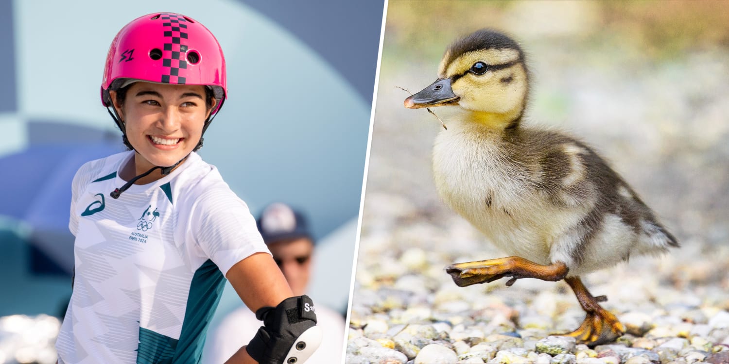 14-year-old Olympic skateboarder's parents promised her a pet duck if she won, and she did