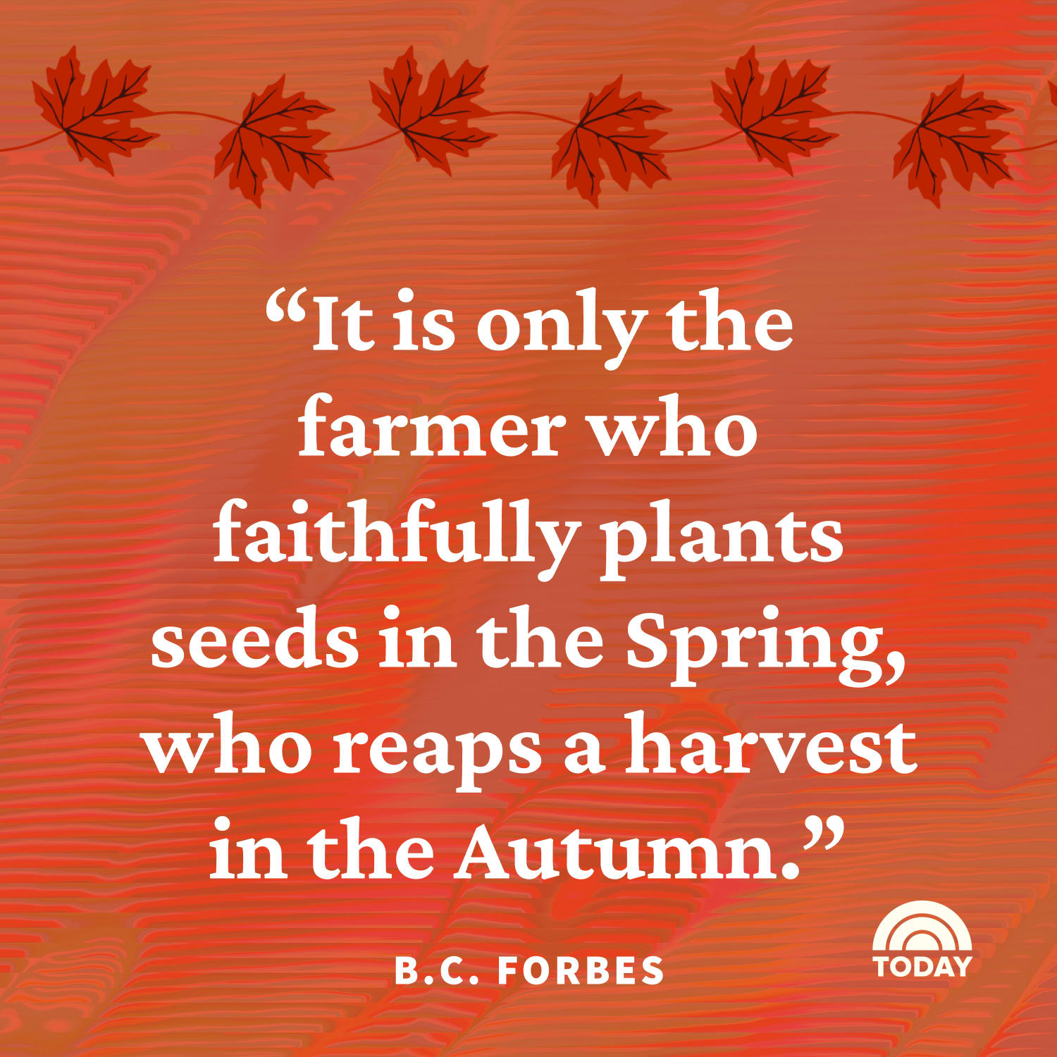 Harvest Quotes