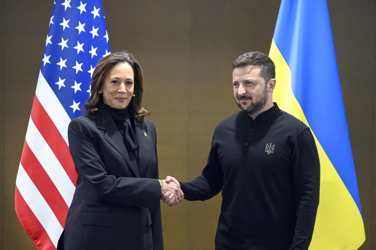 Zelenskyy's meeting with Harris and spat with Trump reveal a growing  partisan divide on Ukraine