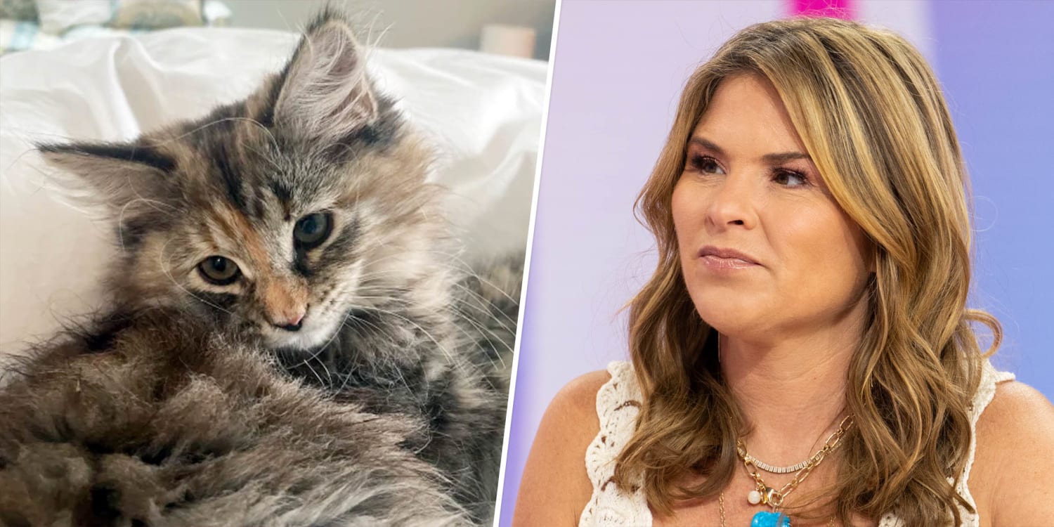 Jenna Bush Hager shares 'heartbreaking' news her daughter's cat Hollywood is missing