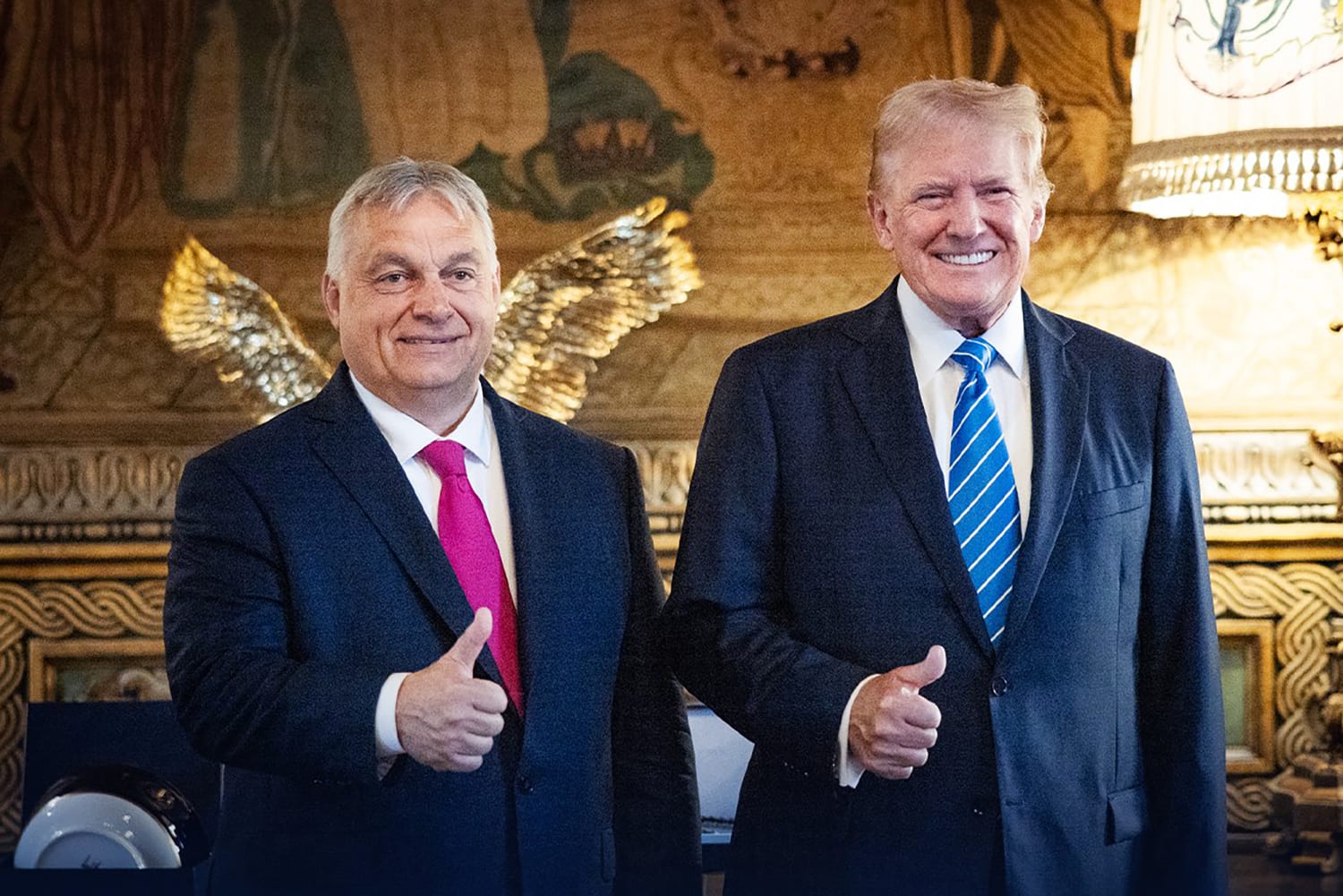 Trump election win delights Orban and Europe's far-right