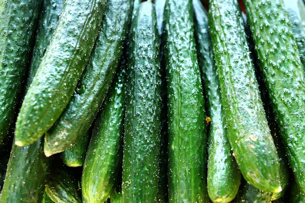 Cucumbers recalled for possible salmonella contamination in 26 states