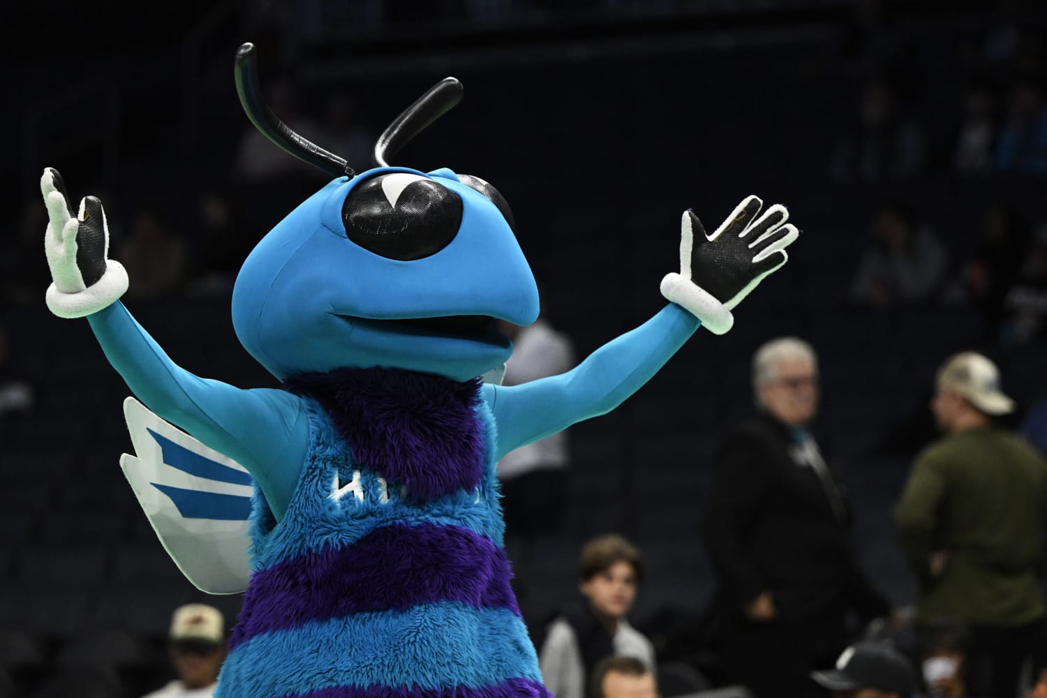 Nba charlotte hotsell