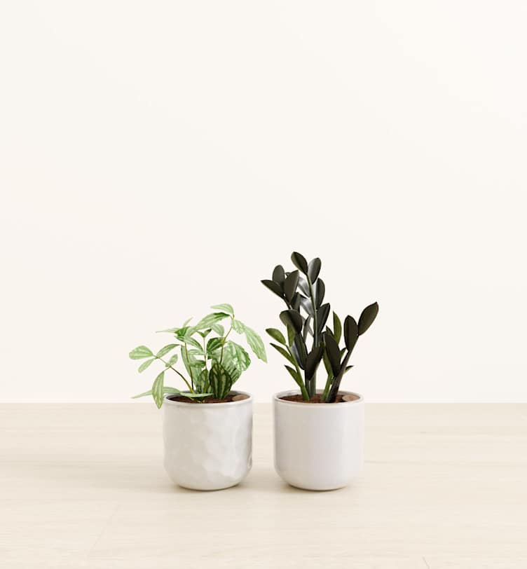 planter pots self watering Set of 4, Wall Mounted White Plastic Self Watering Planter Pots, Small Hanging Double Layer Wall Planter main image 1