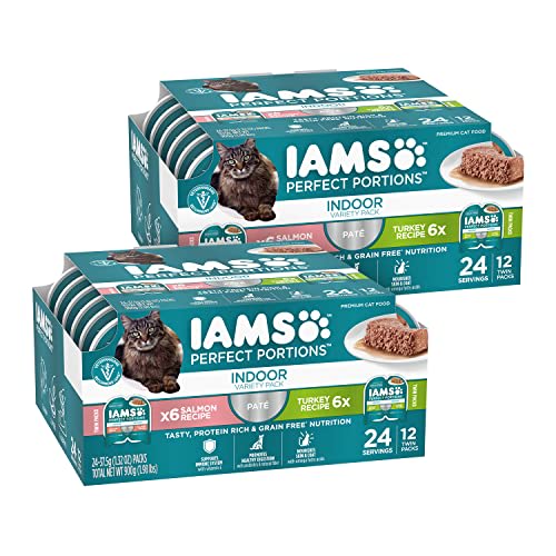 best cat soft food