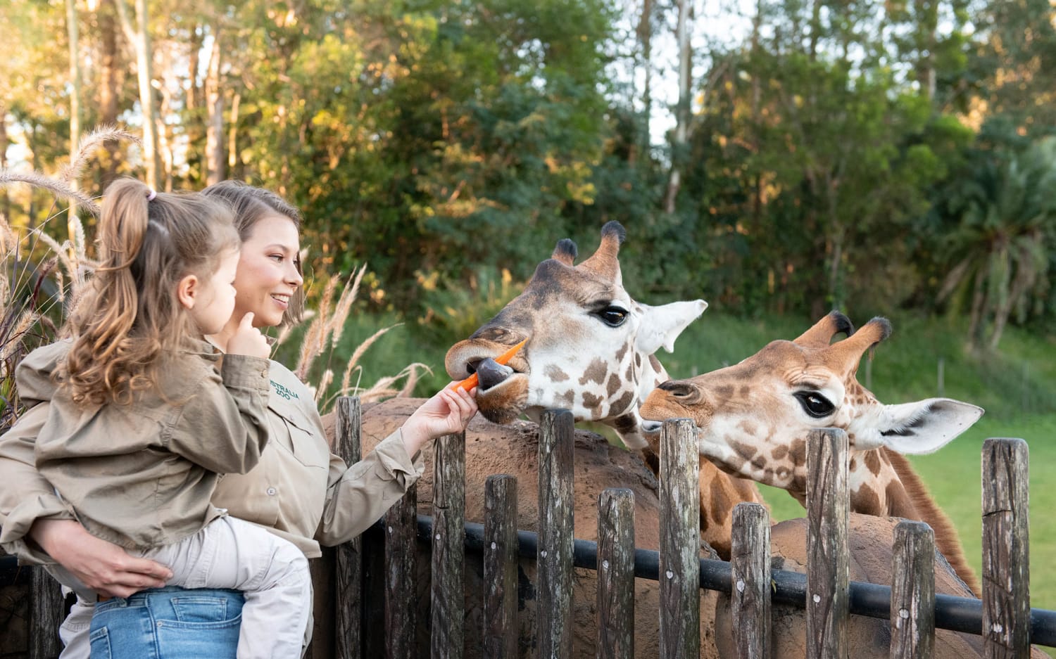 Bindi Irwin opens up about motherhood, her new book, and her dad's wildlife legacy