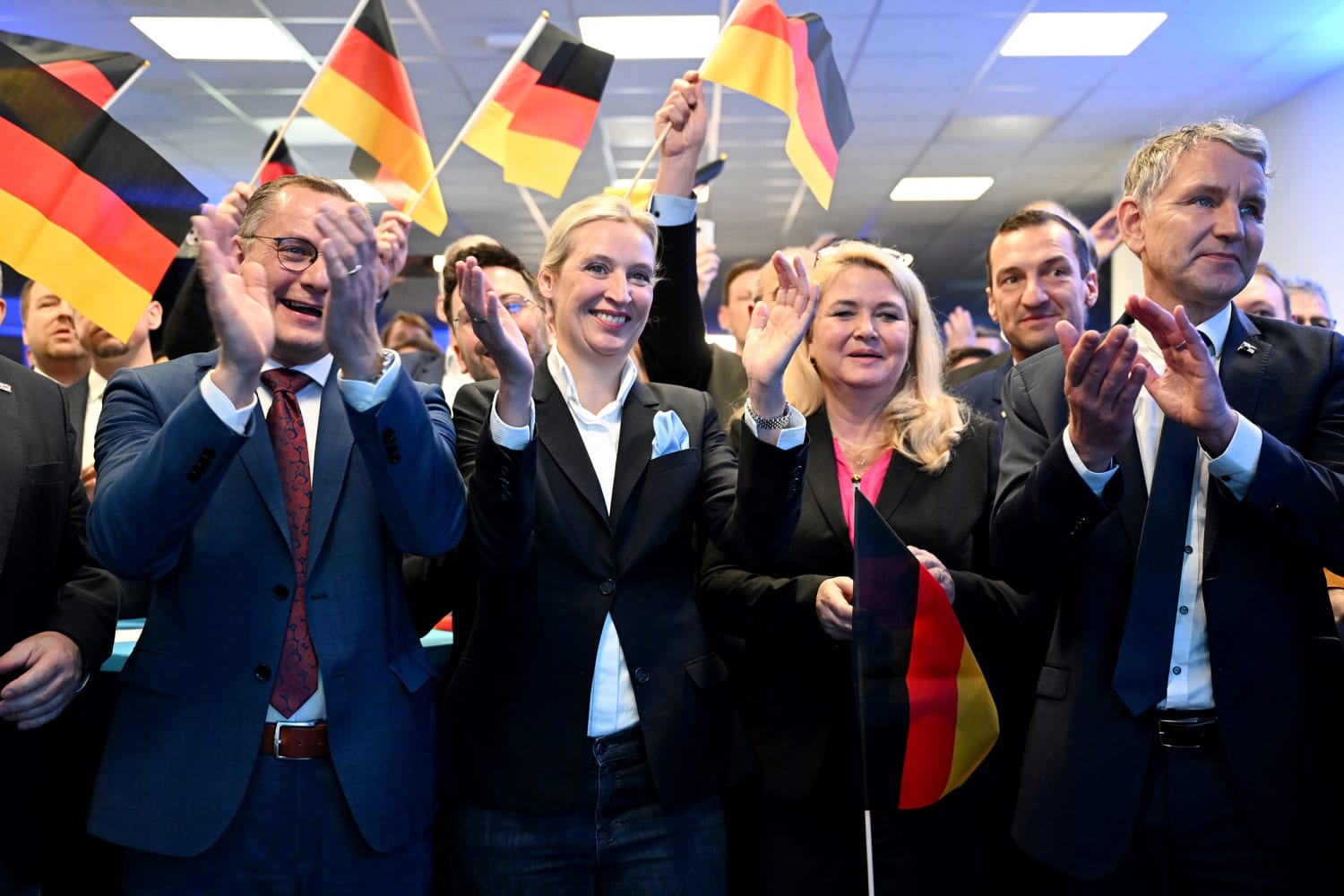 Alice Weidel doesn't fit the profile of a far-right politician. The German AfD is willing to look past it.