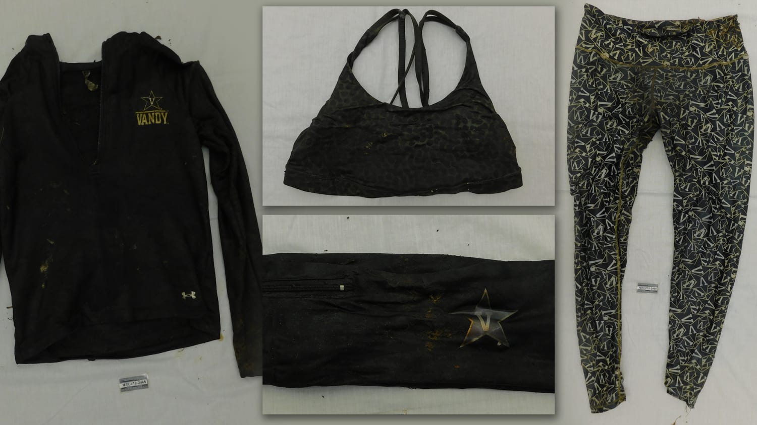 Metro Nashville Police Department trying to identify Vandy