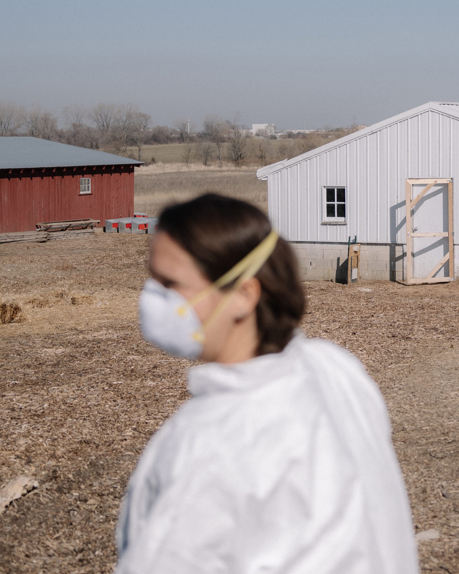 How bird flu virus has devastated an Illinois farm as pandemic fears rise