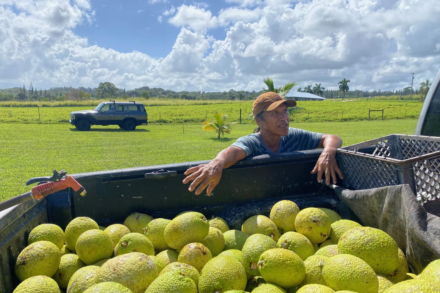 In Hawaii, where 90% of food is imported, farmers who offset imbalance now  face cuts