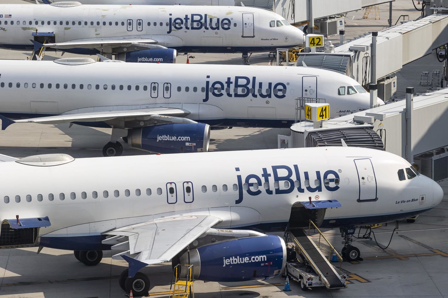 2 teens found dead in JetBlue landing gear ID
