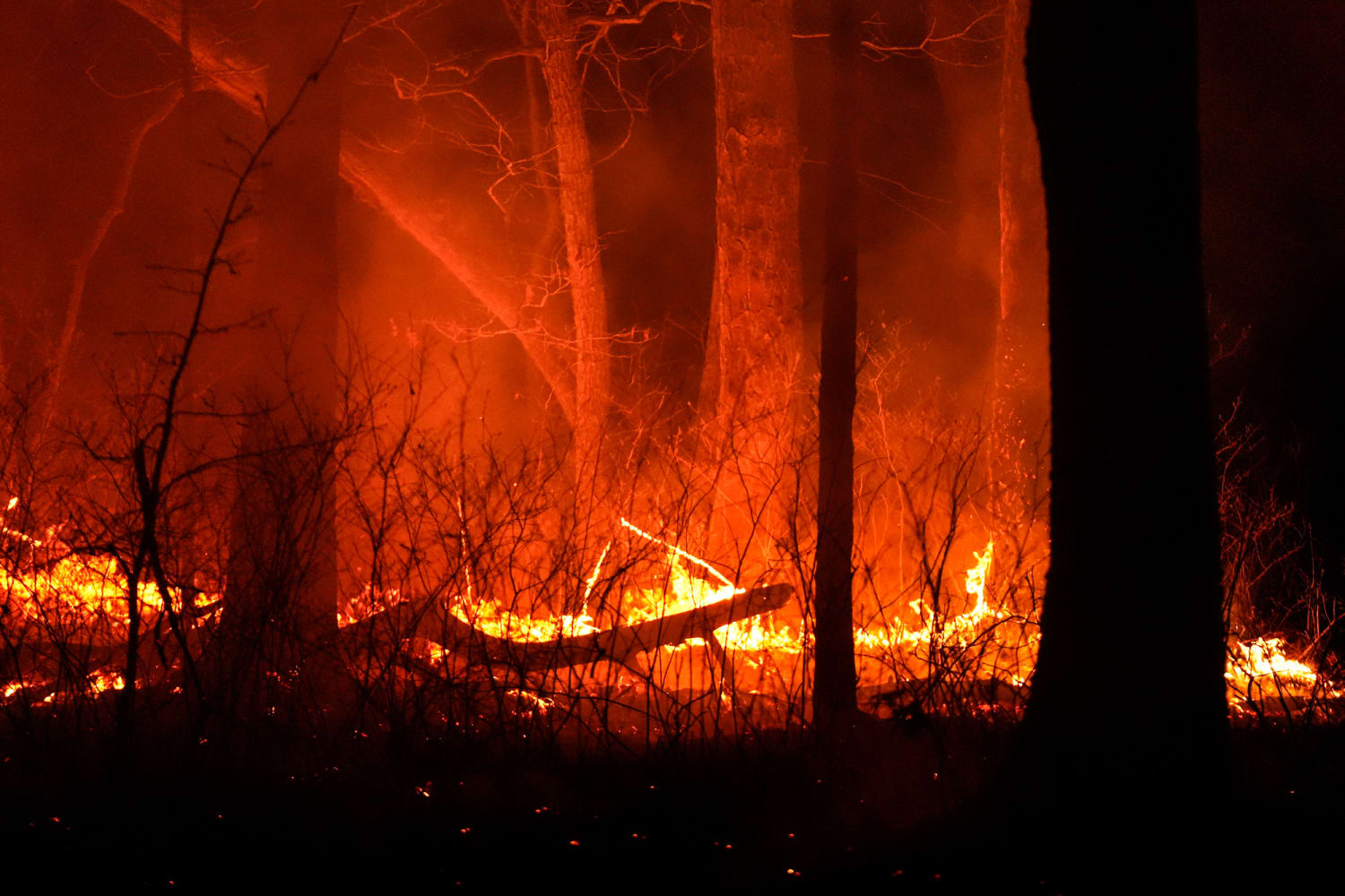 New Jersey wildfire burns thousands of acres and triggers  display picture 1