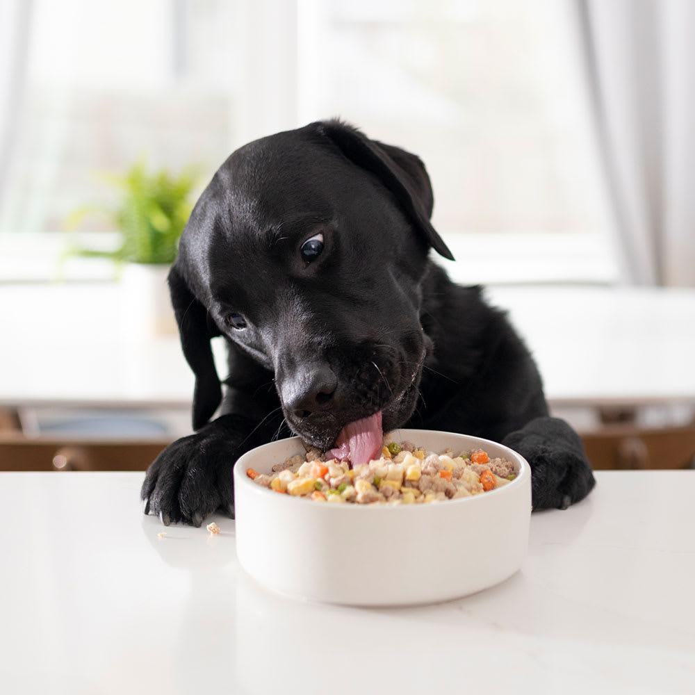 Nom Nom