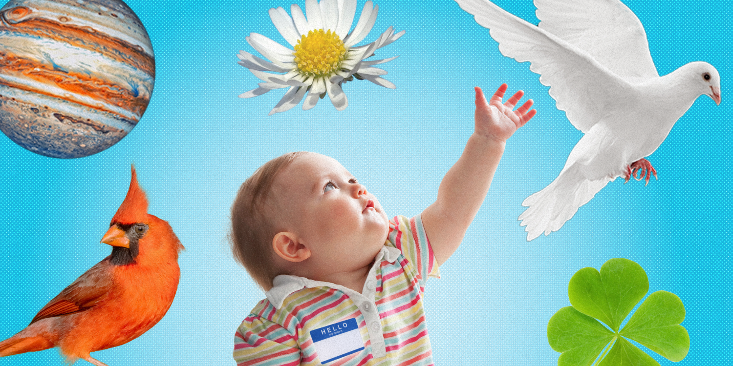 See the top celebrity baby names of the decade