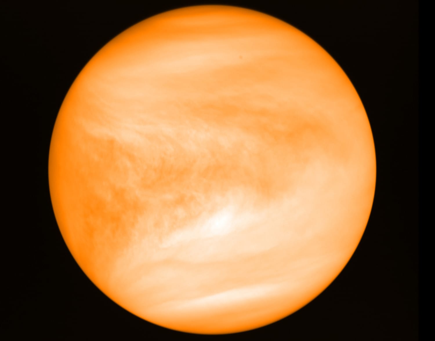 250501-venus-ch-1440-5f6a2e.jpg