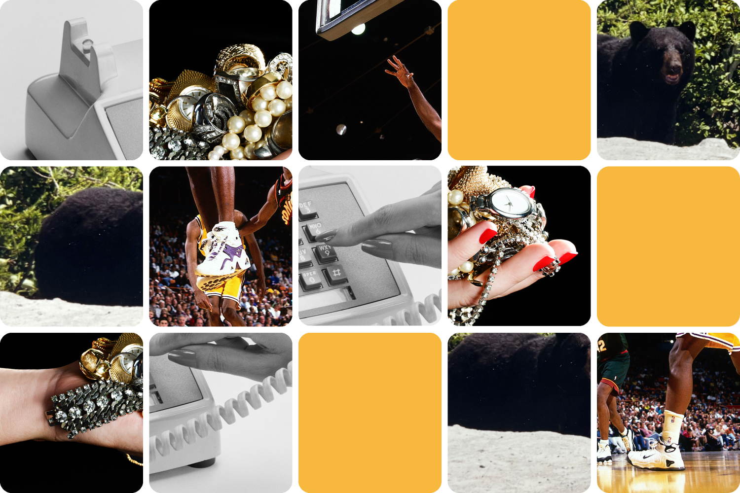 A top Trump official is out of the loop, and a bear tastes sweet