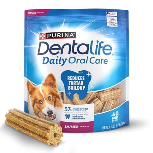 Best Dog Dental Chews and Treats of 2025, According to Vets