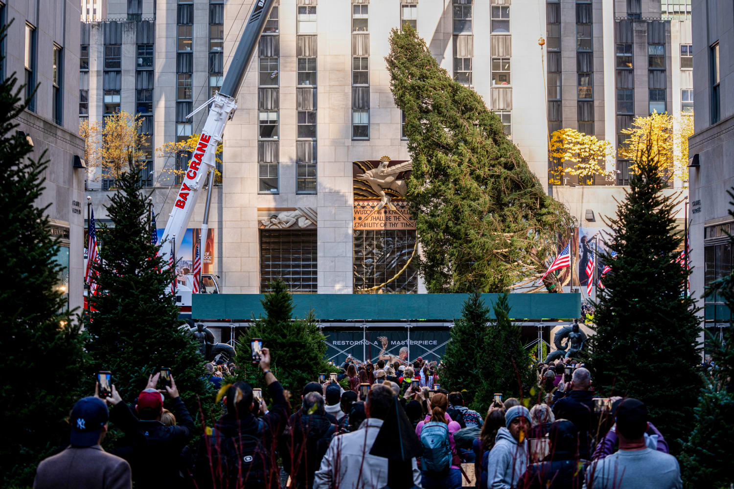 The 2025 Rockefeller Center Christmas tree arrives in New York City after  130-mile journey
