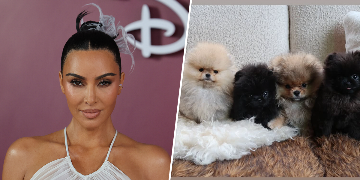 Kim Kardashian Reveals She Got Each One of Her Kids a 'Puppy' for Christmas