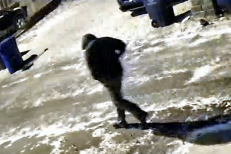 Police release video showing person of interest in killing of Ohio ...