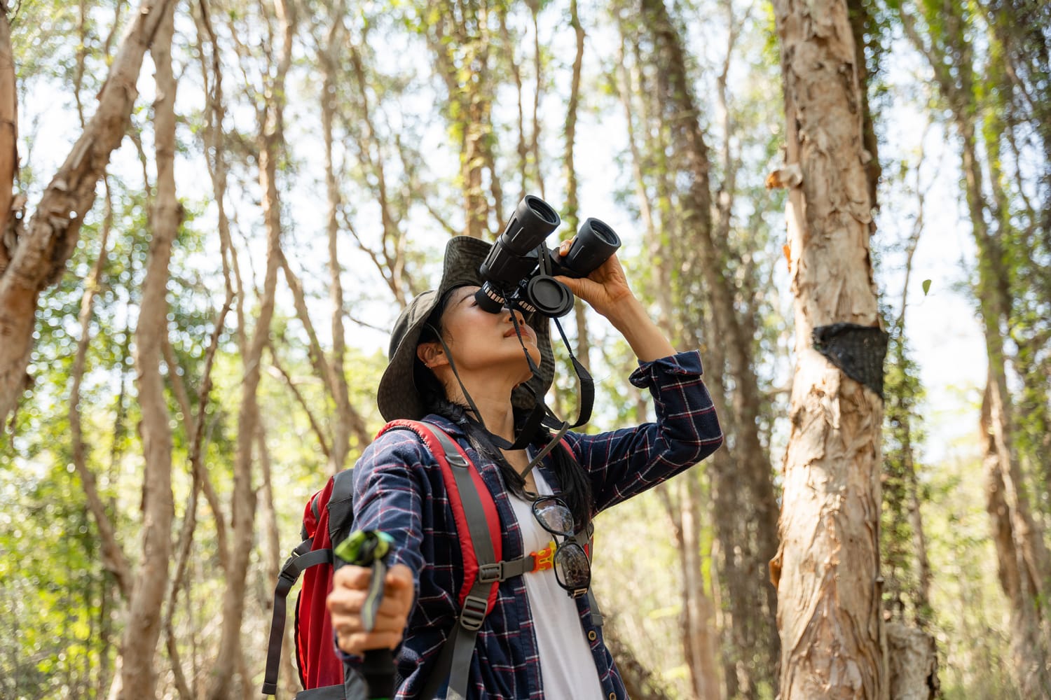 'birdbrain' Benefits: How Being an Expert Birdwatcher May Boost Cognition