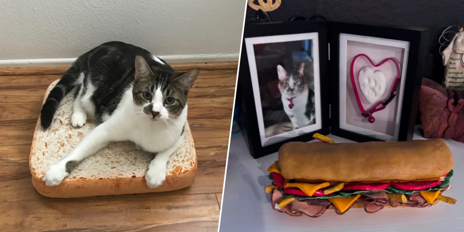 When a Cat Named Sandwiches Died, an Artist Made Him the Most Fitting Urn of All Time