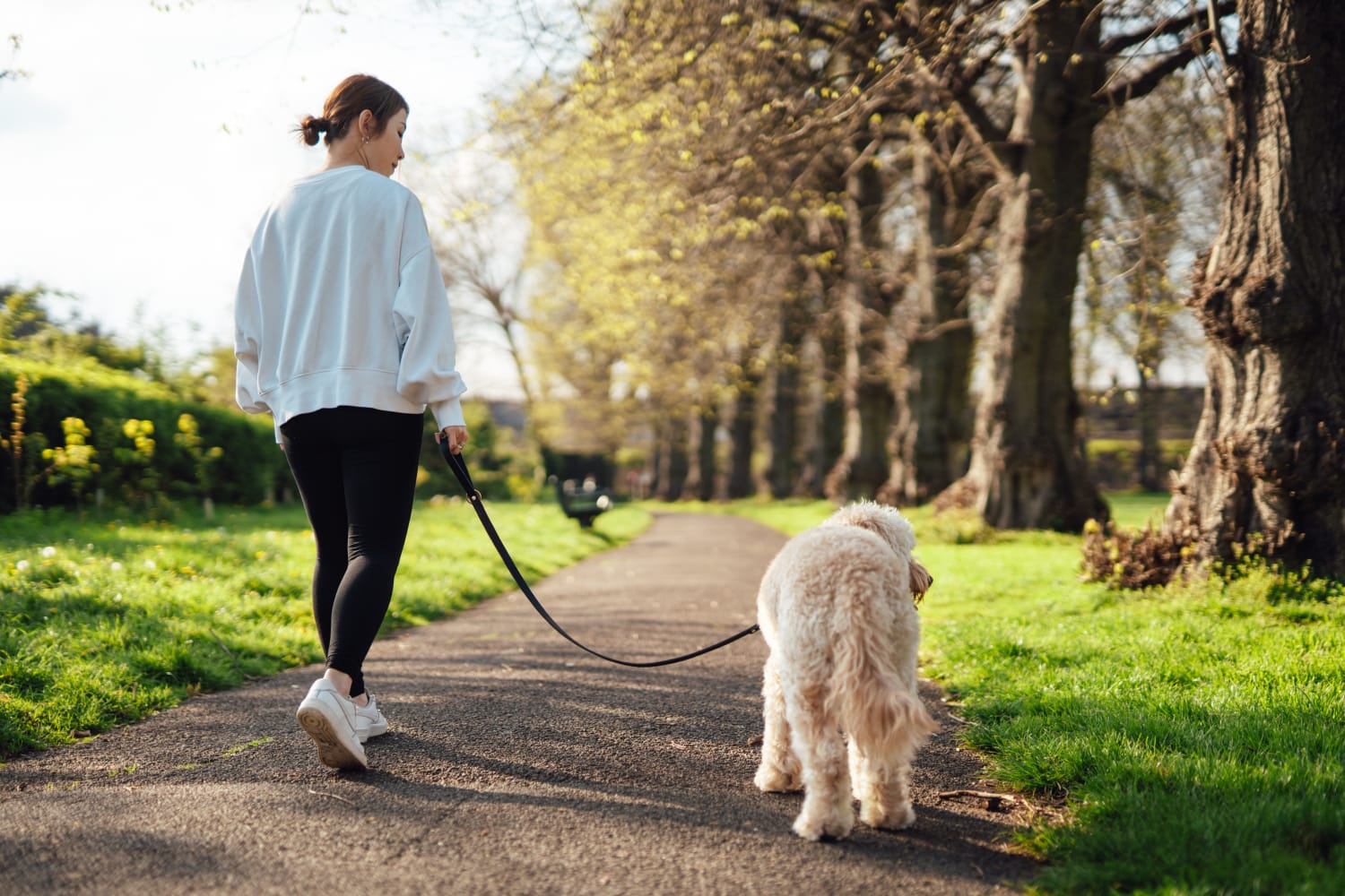 A 30-Day Strength and Stretch Workout For Walkers, Plus Nutrition Tips