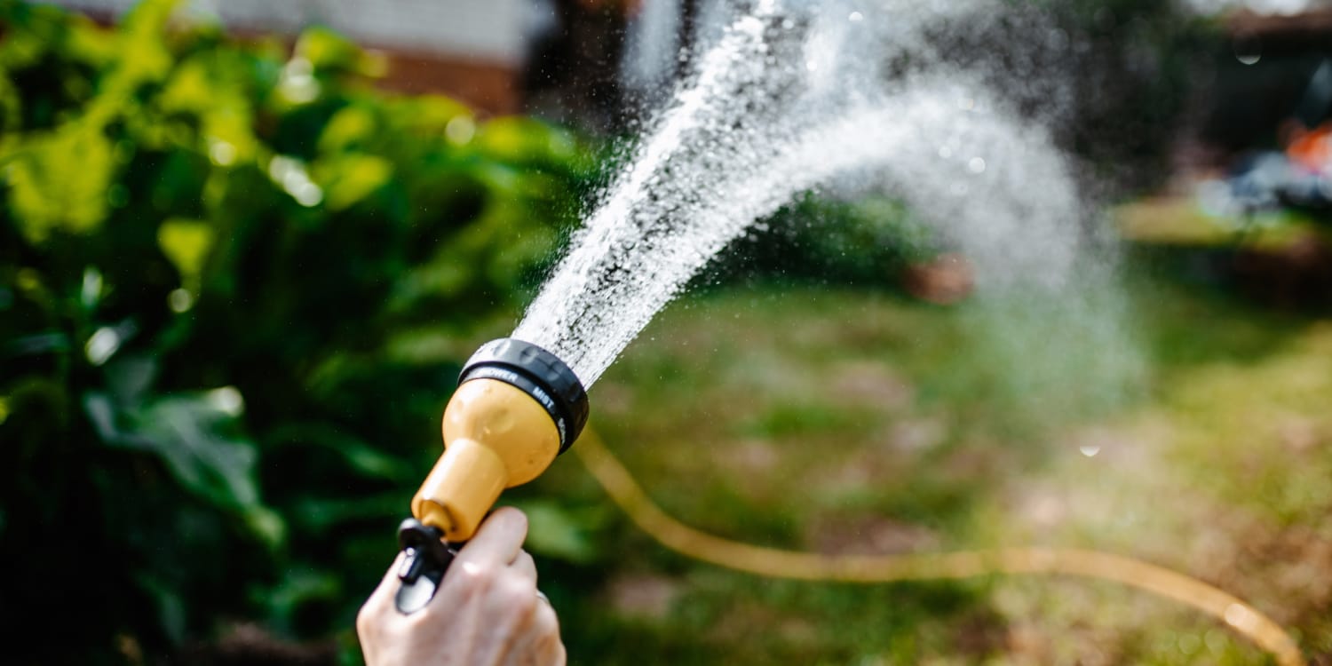 The Best Garden Hoses of 2026, According to Experts