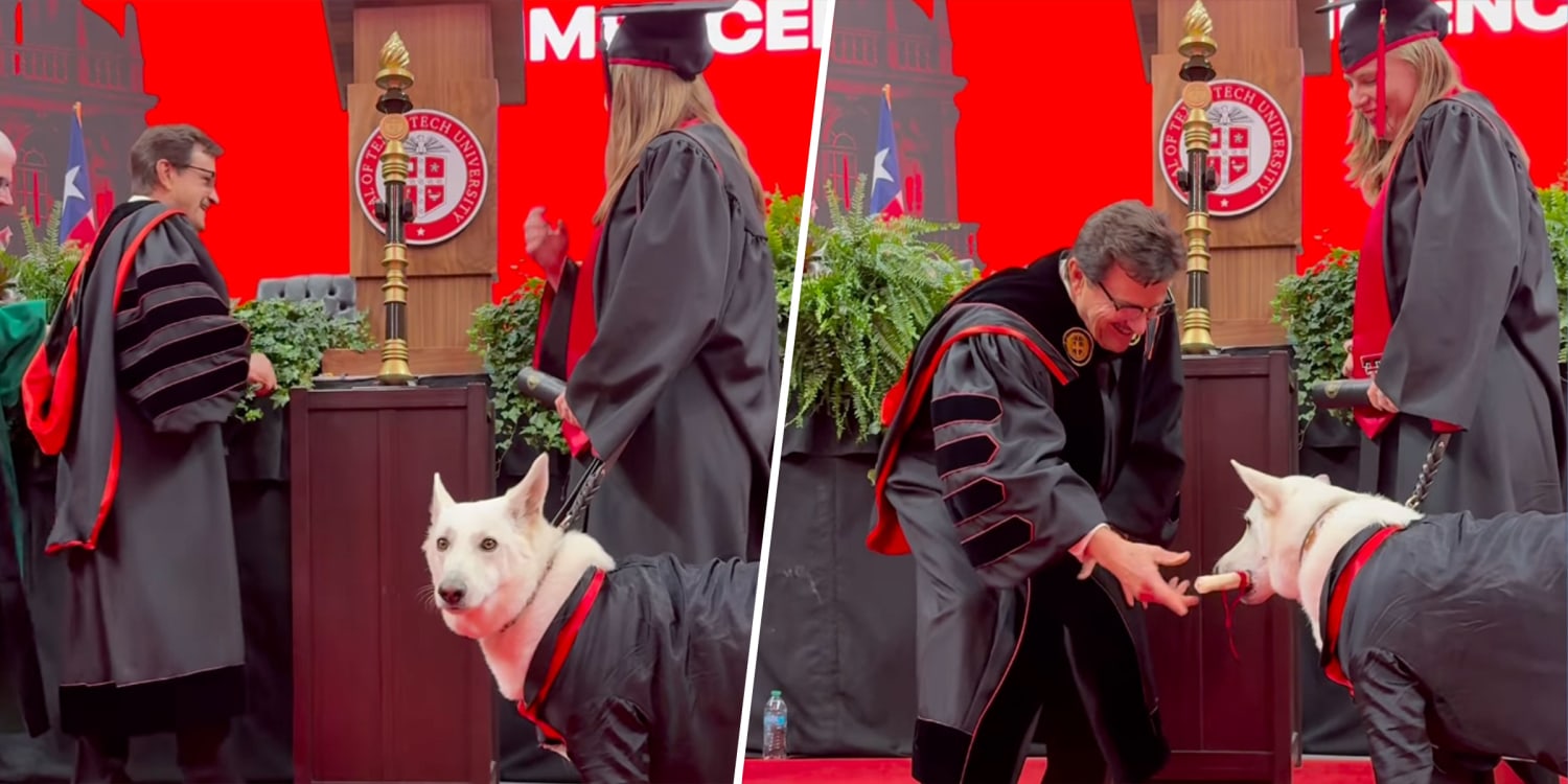 Service Dog Gets Her Own Diploma at Commencement and It’s Pawsitively Adorable