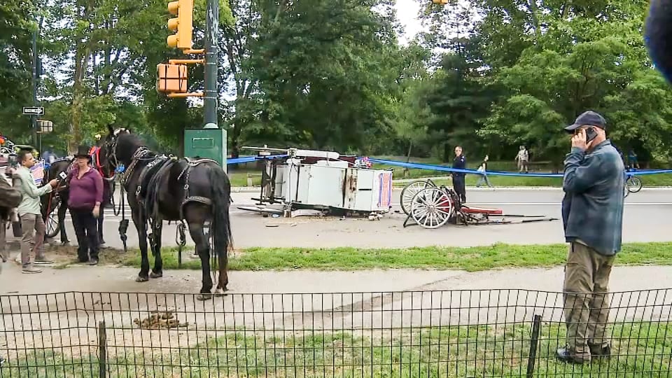 Teen killed in Central Park horse carriage accident was celebrating high  school graduation