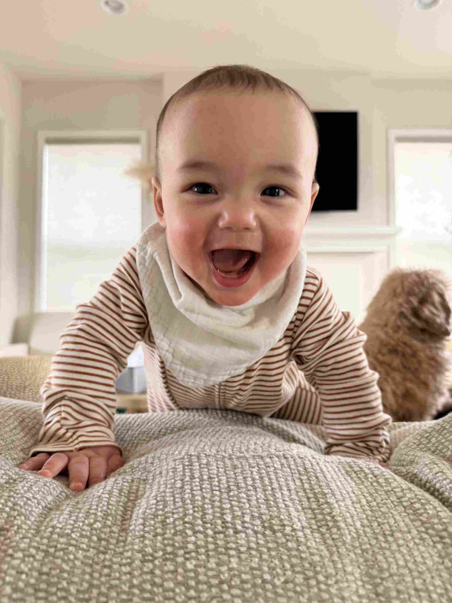 TODAY Reveals the Newest Gerber Baby