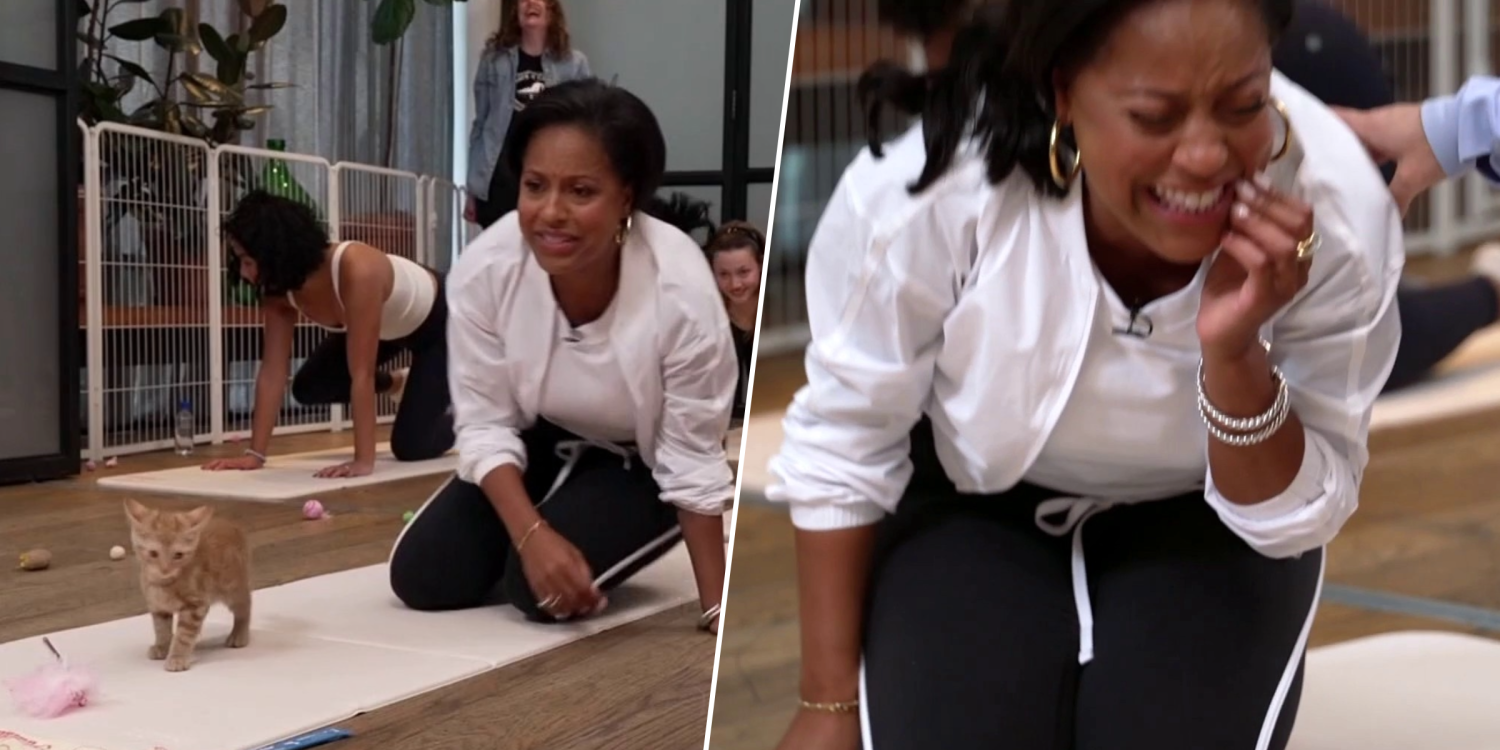 Sheinelle Jones Loses It While Doing Pilates with Cats. See Jenna’s Reaction