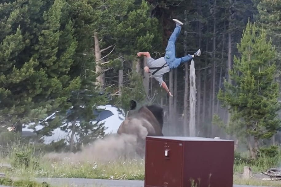 Family of Man Thrown 8 Feet in the Air By a Bison Shares a Health Update