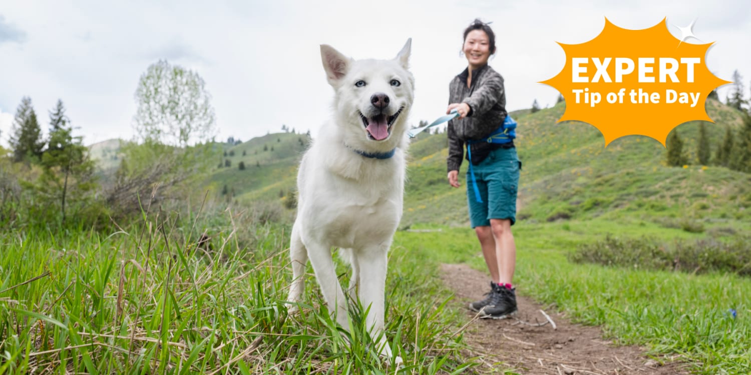 Walking Your Dog Can Be a Full-Body Workout. Get Stronger With This 1 Move, Trainer Says