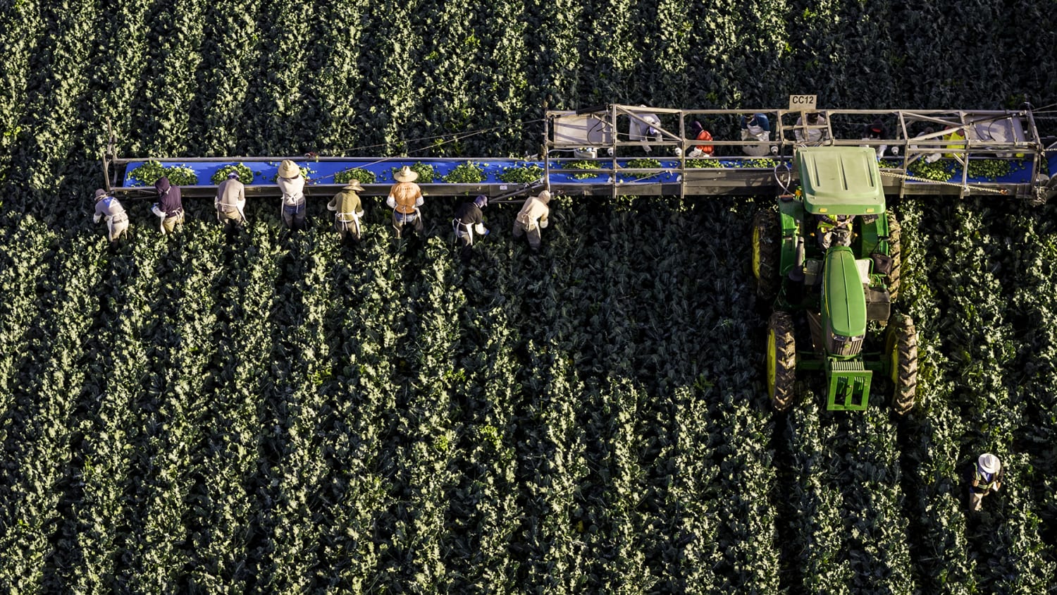 💧 Colorado River crisis: Who's losing water? 🥗