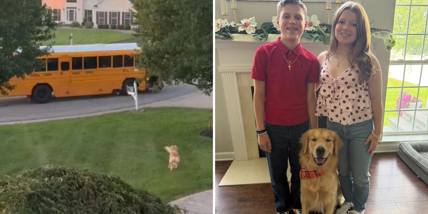 Family Dog Escapes and Boards School Bus. Harried Mom Runs After Him in Pajamas