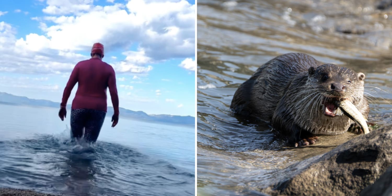 Mom Attacked by Otter in Lake Tahoe Urges Parents to Teach Kids This Survival Skill